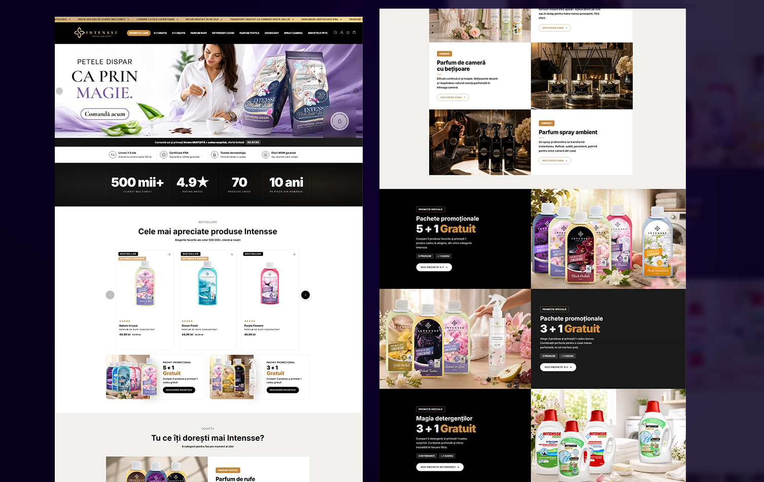 Intensse Website Design Pixelora